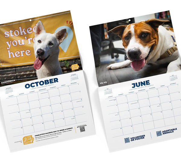 The Dogs of CMAS - 2025 Calendar